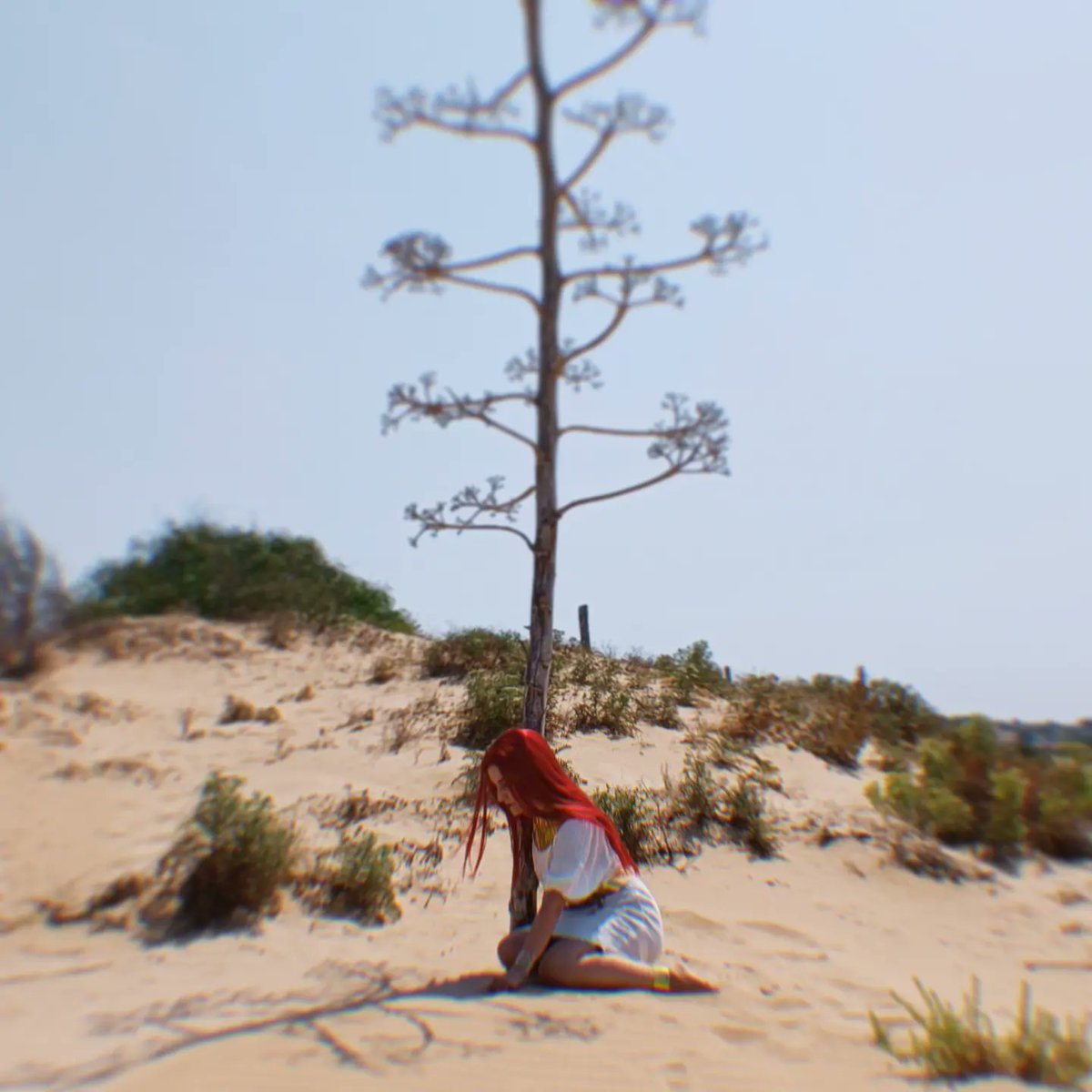 LilithAdaryn's tweet photo. Losing hope.

#Ennead #Enneadmanhwa #Seth #Sethcosplay #Mojito https://t.co/8lSZd1lL9q