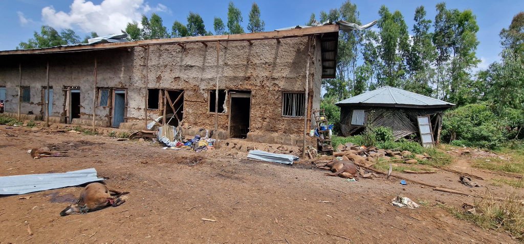 Atse II (@minilik_atse) on Twitter photo The Ethiopian dictator <a href="/AbiyAhmedAli/">Abiy Ahmed Ali 🇪🇹</a> regime carried out more than 75 drone attacks in the Amhara region just this week. The Turkish Bayakrtar TB2 drones killed hundreds of Amhara civilians and destroyed schools, health centers and churches. The Bayraktar TB2 drone uses the MAM-L The Ethiopian dictator <a href="/AbiyAhmedAli/">Abiy Ahmed Ali 🇪🇹</a> regime carried out more than 75 drone attacks in the Amhara region just this week. The Turkish Bayakrtar TB2 drones killed hundreds of Amhara civilians and destroyed schools, health centers and churches. The Bayraktar TB2 drone uses the MAM-L