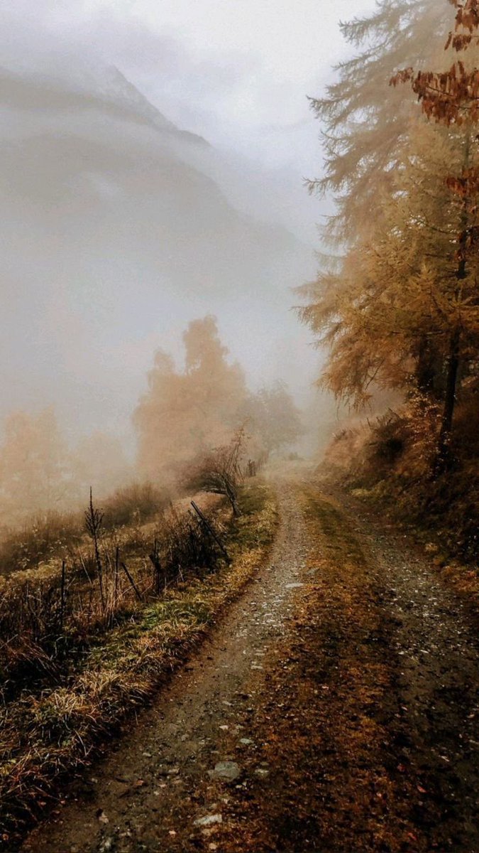 thespookygirll's tweet photo. fall, i love you 🍂🌧️ https://t.co/BzkVNo9ByV