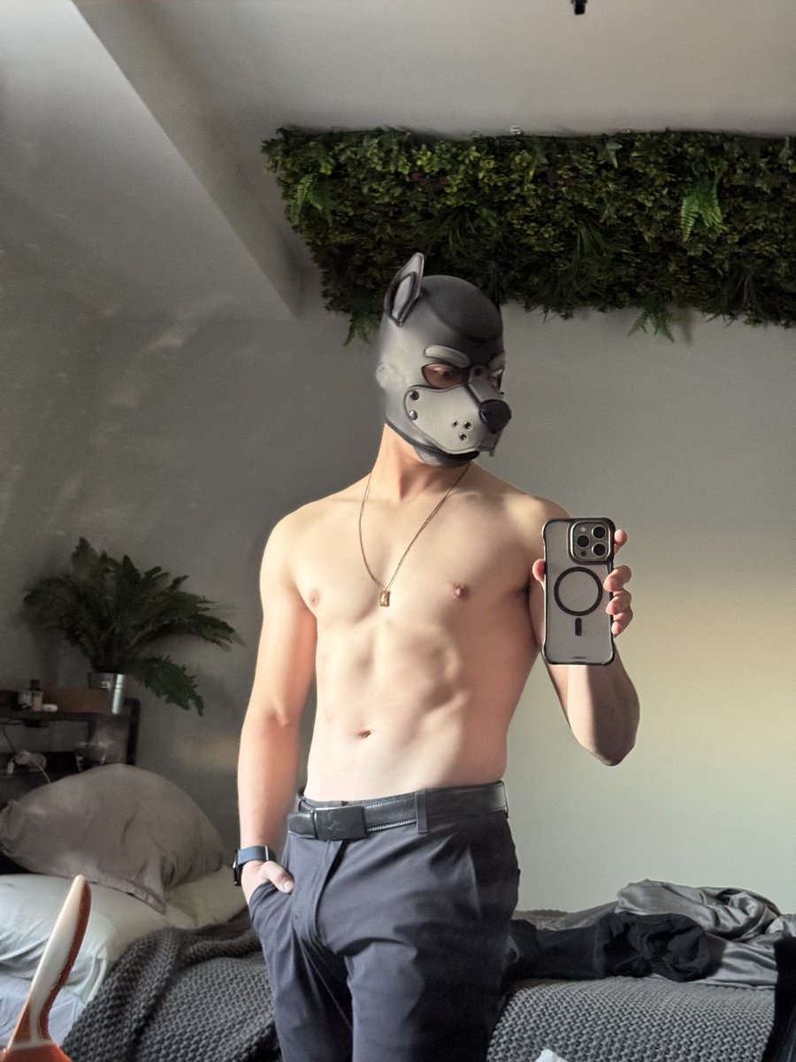 PupPhoton tweet media