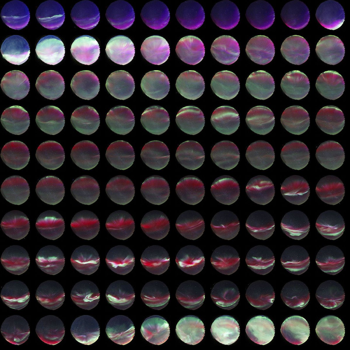 Capture North tweet media