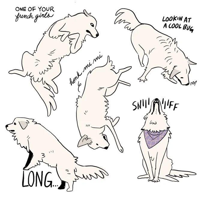 dog shapes 