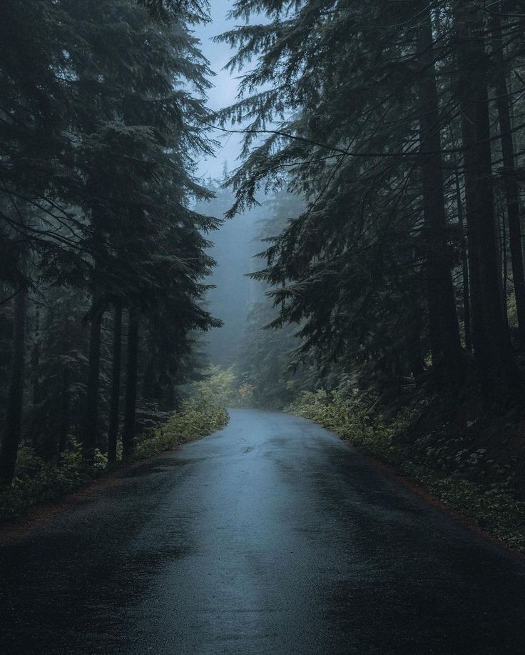 elemmiressoul's tweet photo. dark weather. https://t.co/eiieM327am