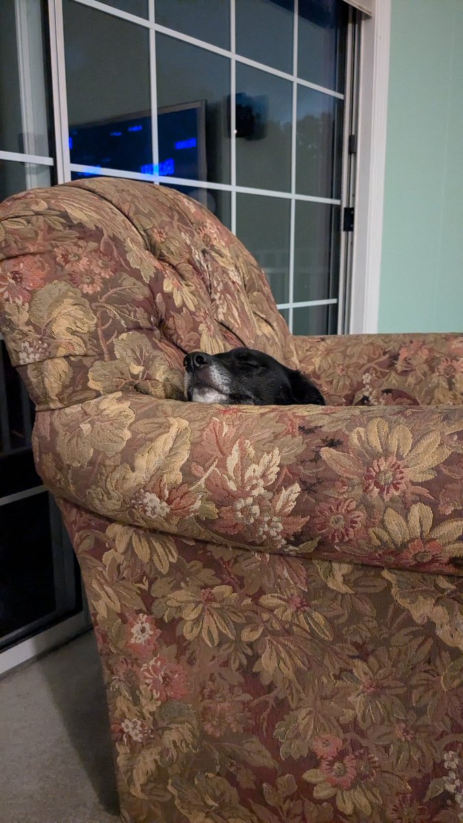 OptionsMike's tweet photo. Yanks are boring hIm
#LIFEOFDUKE https://t.co/jjH3eUukXm