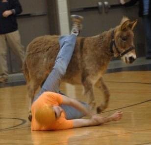 Dr. Drew Timmons tweet media