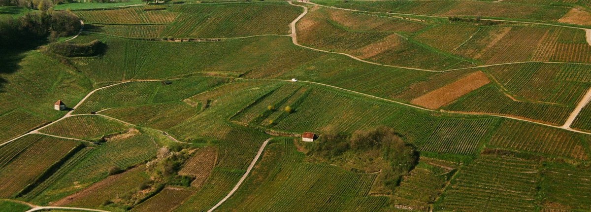 Une fleur. tweet media