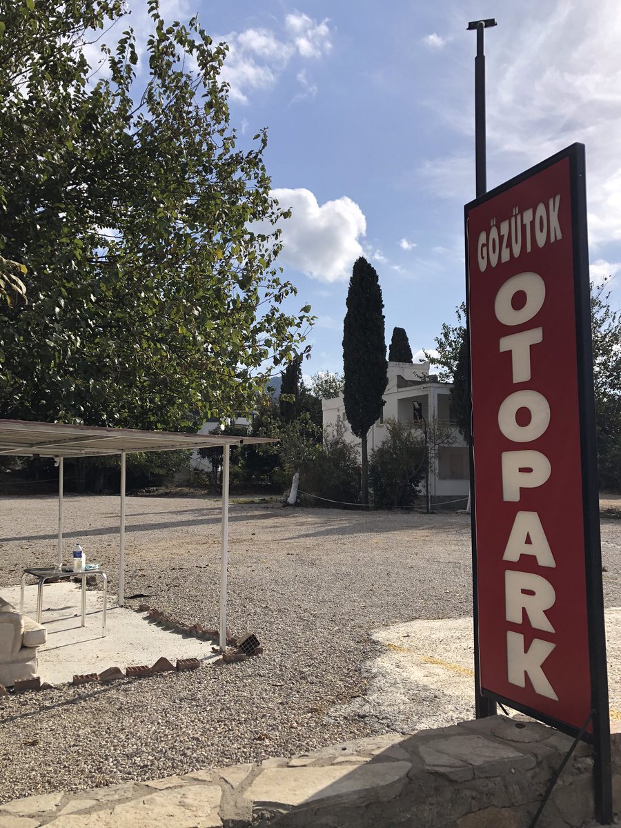 #yalıkavak #bodrum
Eski #mandalina #bahçesi 
Bugün, yazın iş yapan #otopark 
kışın da böyle kupkuru beton. 
Toprak, doğa çığlık çığlığa!!
#Kedi, #köpek, mandalina #kadın, #çocuk hiç fark etmiyor!
Bari #ağaçları yol yol bıraksaydınız. 
Daha #estetik olurdu 
Hem de Kışın verimli 🍃