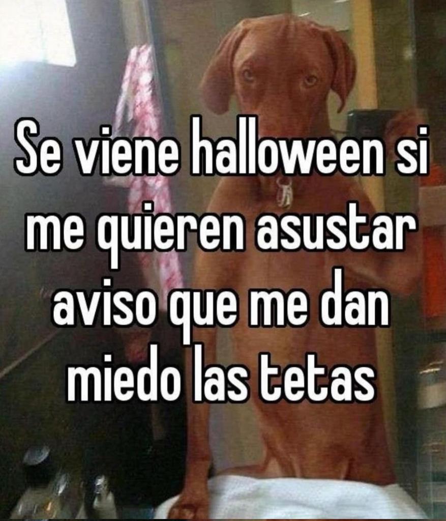 Zona de parejas (@zonadeparejas) on Twitter photo 