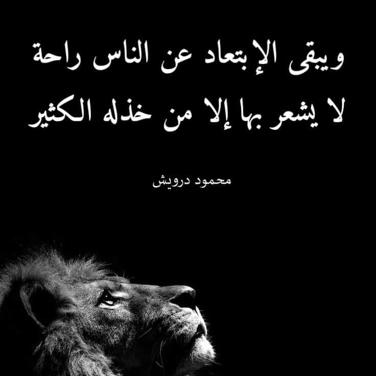 #صورة_ملف_شخصي_جديدة