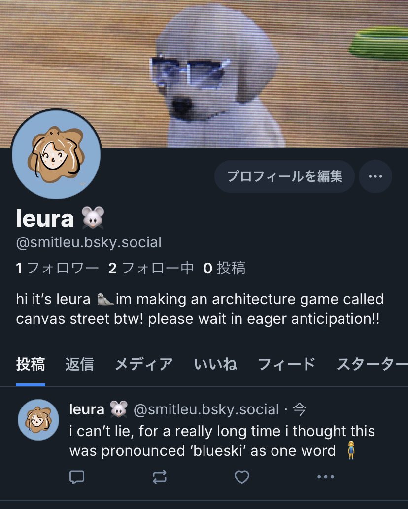 i’m on blueski now too!!