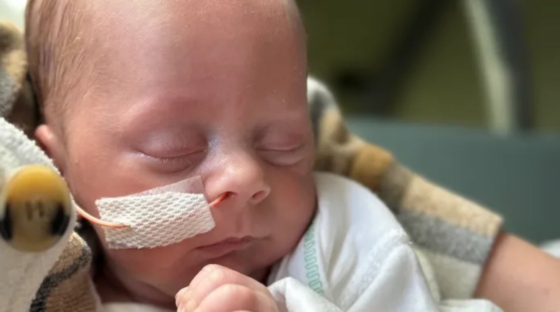 EG Herd Baseball tweet media