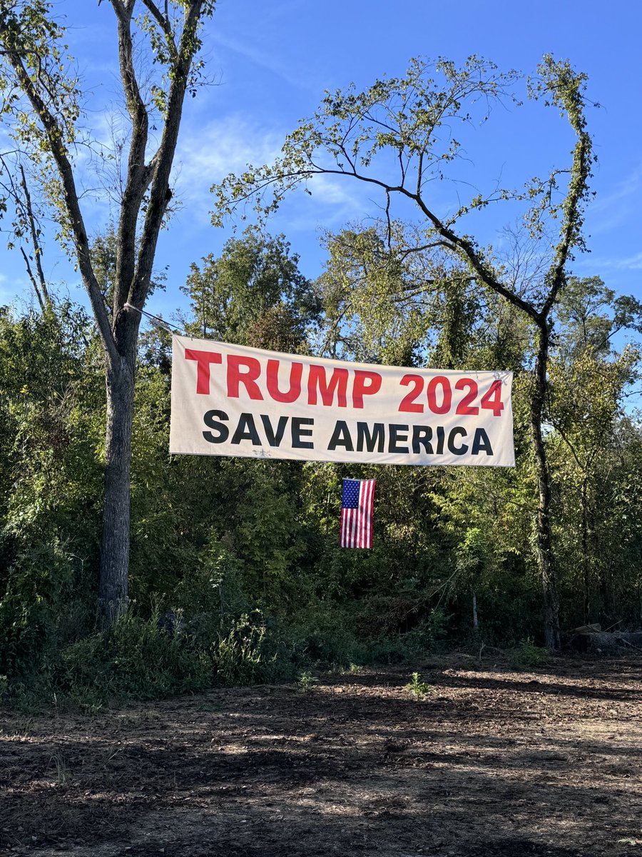 <a href="/elonmusk/">Elon Musk</a> Post every Trump sign you see 🇺🇸