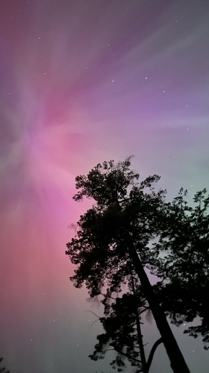 WestJet's tweet image. The skies across Canada have been magical lately. 🌕✨ ⁣
⁣
Did you catch these stunning views? Share your photos and videos with us!
 ⁣
📷: blaze.yvr⁣
 ⁣
#ExploreCanada #NorthernLights #ChasingViews