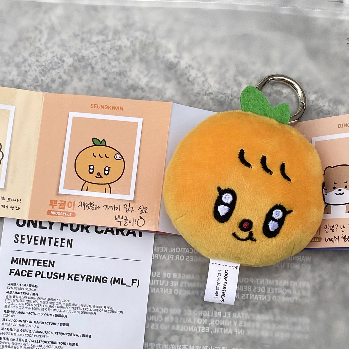 actually jealous that carats received miniteen keychains for