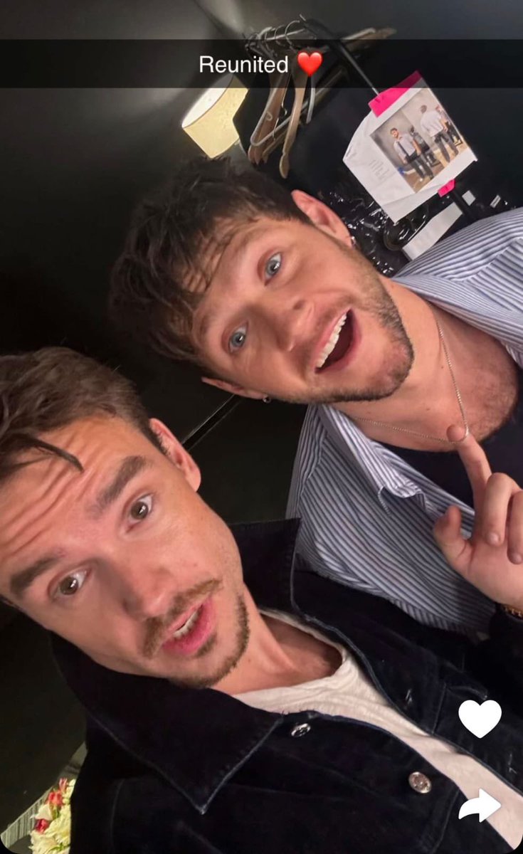 onedfess's tweet photo. [Niall] was the last member to meet Liam, and it was just a week ago. It must be very hard for him, so please understand that Niall doesn’t owe anyone a post or statement. Let him grieve however he wants. https://t.co/gAVkZq1rvR