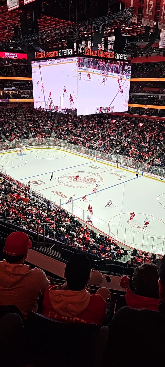 LordWalken's tweet image. Lets do that hockey @DetroitRedWings! #LGRW    #fucktherangers