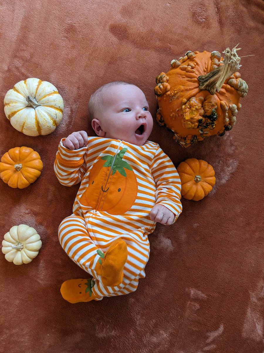 AnkerMath's tweet image. oh btw I birthed a 10 lb. baby

welcome to the world, Silas 👋