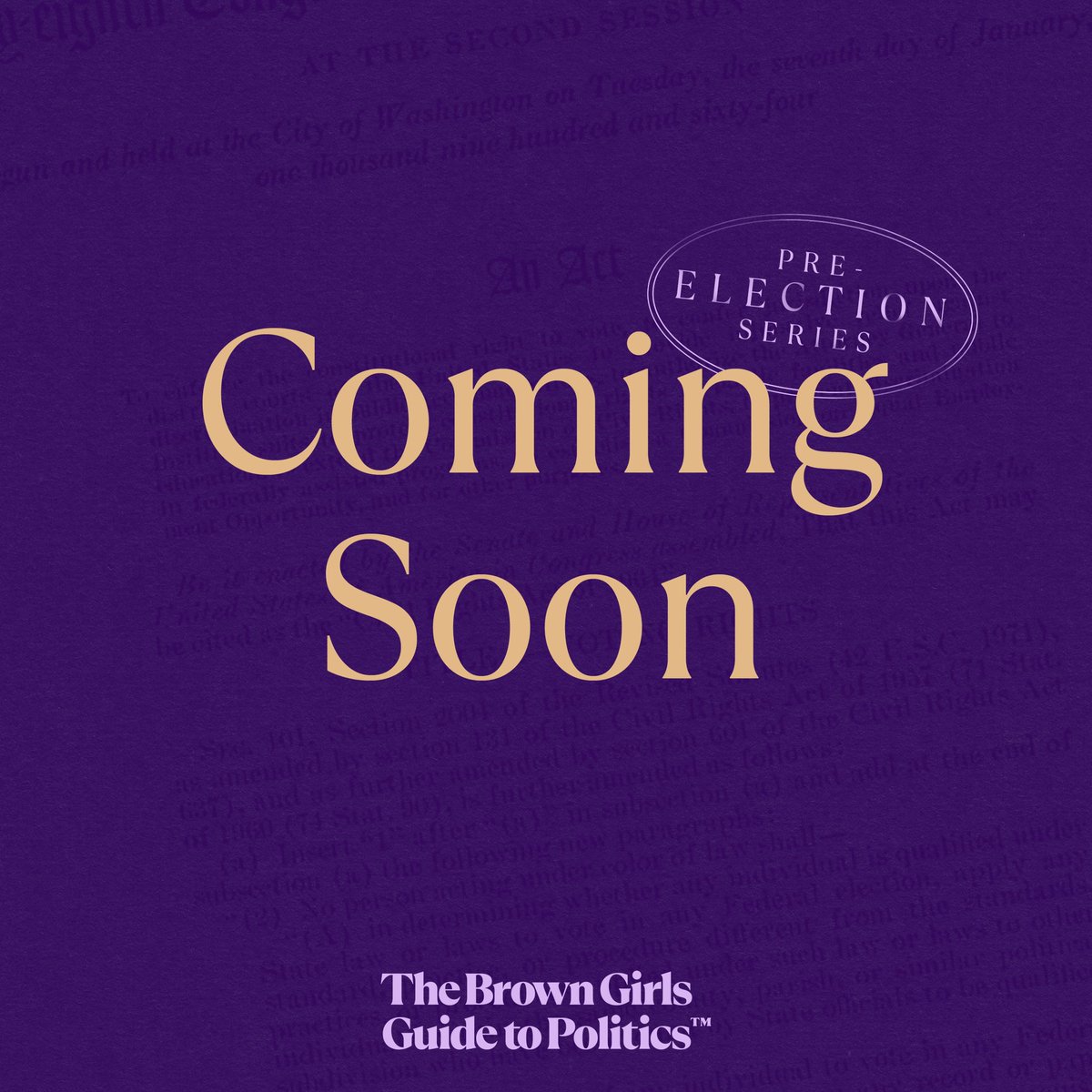 The Brown Girls Guide to Politics™ tweet media