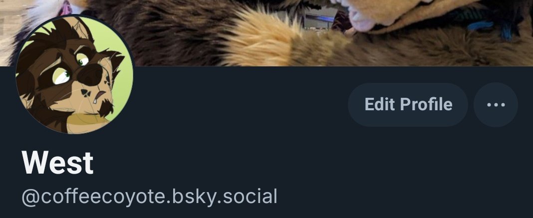 For anyone that wants to find each other over there