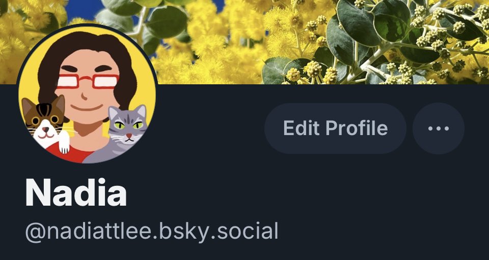 Nadia (nadiattlee.bsky.social) tweet media