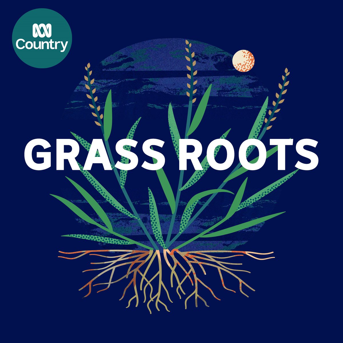 Natalie Gauci (@nataliergauci) on Twitter photo "SMILE" has been added to ABC Australia Grass Country Roots program this week! Thanks so much guys! #countrymusic #popmusic #countrypopmusic #newmusic <a href="/ABCaustralia/">ABC Australia</a> "SMILE" has been added to ABC Australia Grass Country Roots program this week! Thanks so much guys! #countrymusic #popmusic #countrypopmusic #newmusic <a href="/ABCaustralia/">ABC Australia</a>