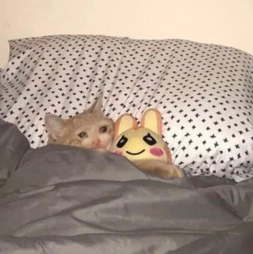 Gn,

Someday it won’t bother me,

But for now I’ll have a cry about it. 

- $Crying Cat 

2ZHYWGndLx76H7NCN4ieMRHSRAAiiWEtJFpHmmXYmE6Z