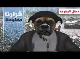xu2_1's tweet photo. @zinb_nasr https://t.co/oSfKL7sCrS