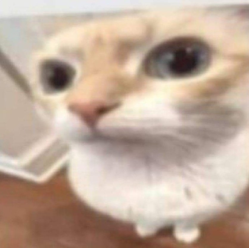 FilipinoCat's tweet photo. I hate that fucking bitch Aneisi https://t.co/gNdgb53BW0