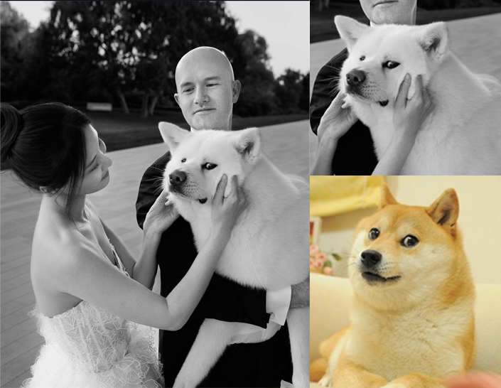 RussellDogCTO's tweet photo. $DOGE of BASE 

@coinbase @base https://t.co/q3Ek5vTNWY