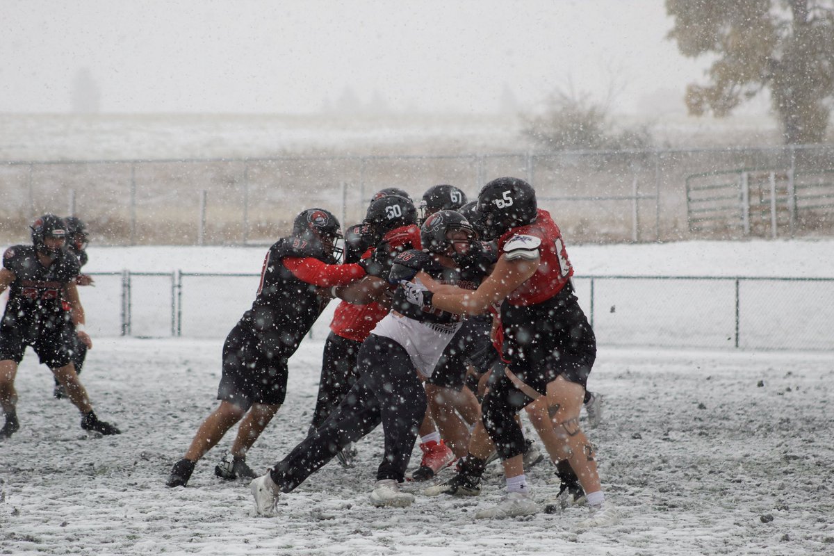 University of Montana Western Football tweet media