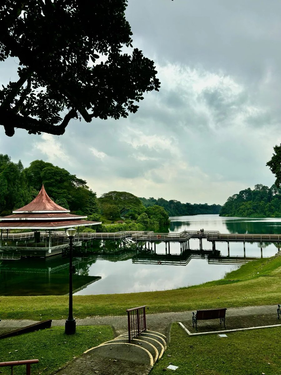 Dorothyovov's tweet image. 自然を受け入れる