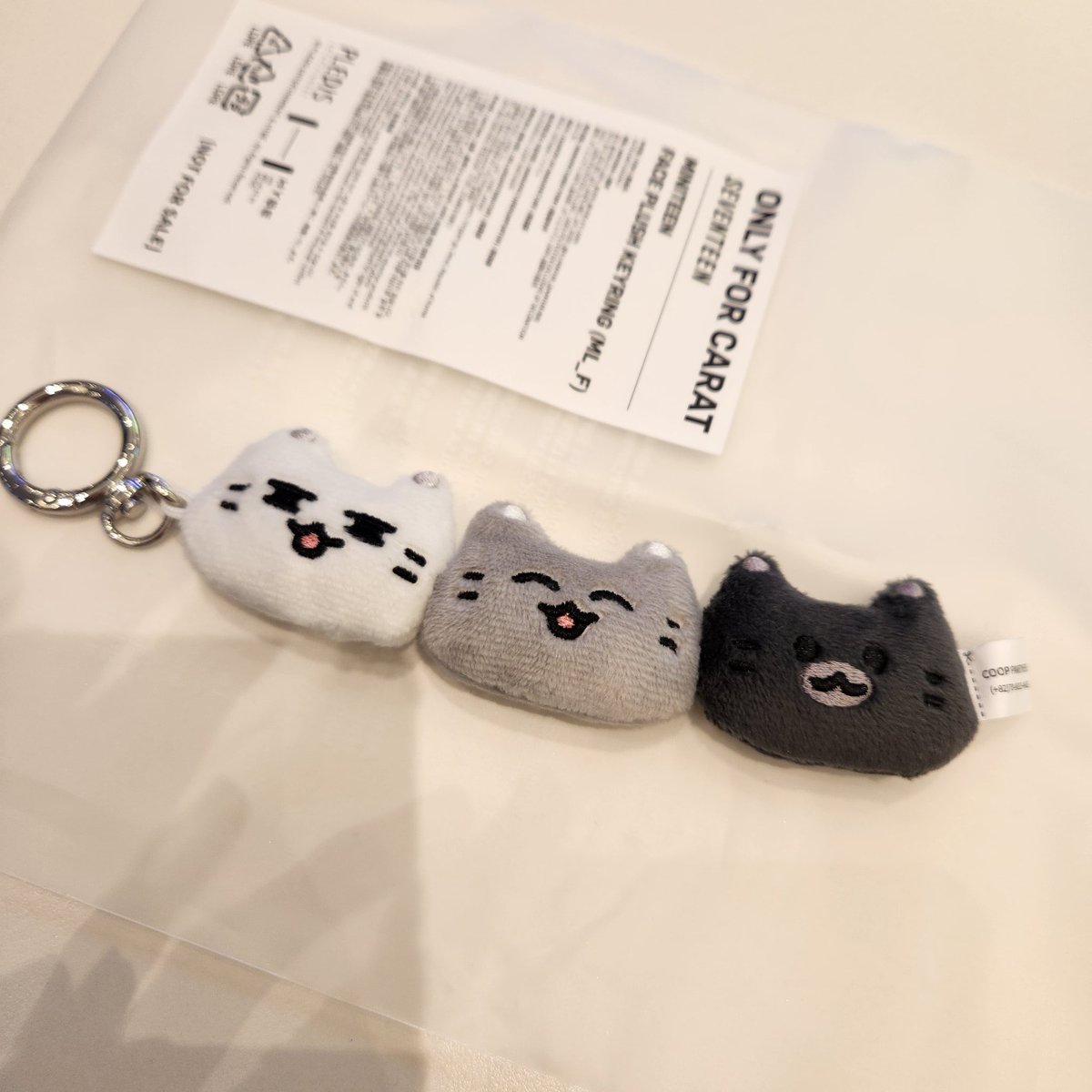 seventeen ミニティーン　ヨルダッチャム　ジュン　セット　JUN SEVENTEEN MINITEEN ぬいぐるみ 大 ジュン ヨルダッチャム seventeen