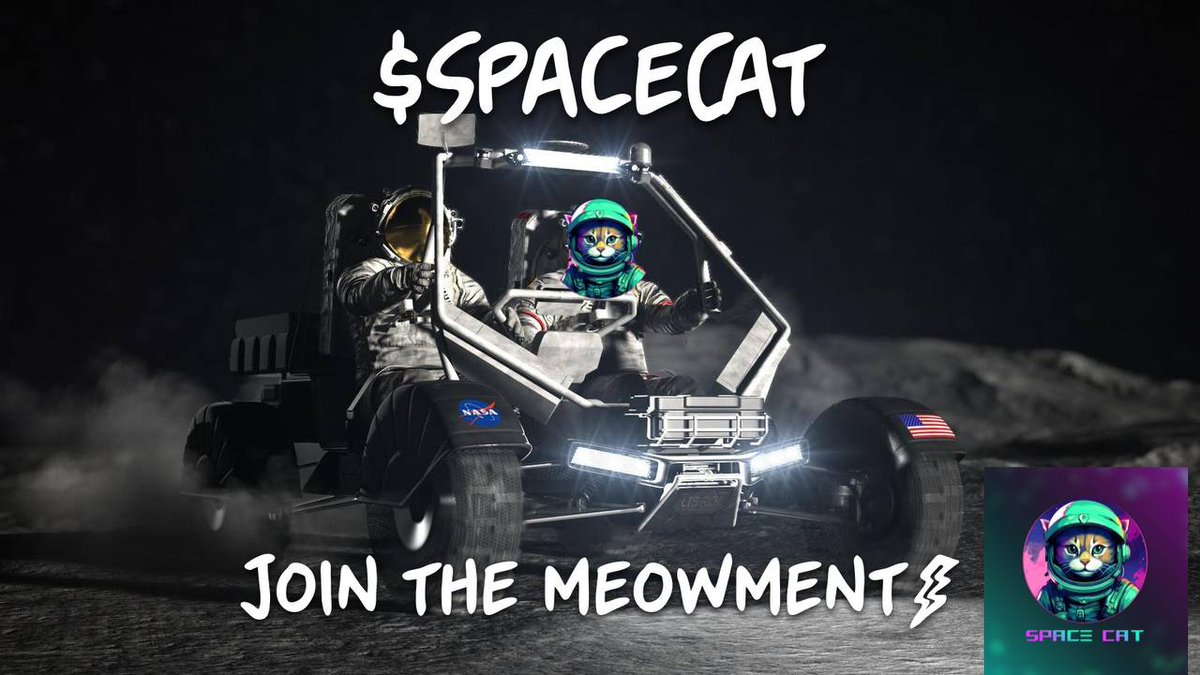 FedeFontana10's tweet photo. @Numerooo0 #spacecat bless you to!

@spacecatcommto2 https://t.co/Bk87h3kOlX