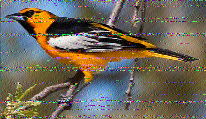 ML_HH's tweet photo. Thanks for another nice #SWRadiogram . Good signal today in Germany on 9265 kHz, some fading, some athmospheric glitches, but still fine! Best 73 from Germany! https://t.co/Epddtd6mQu