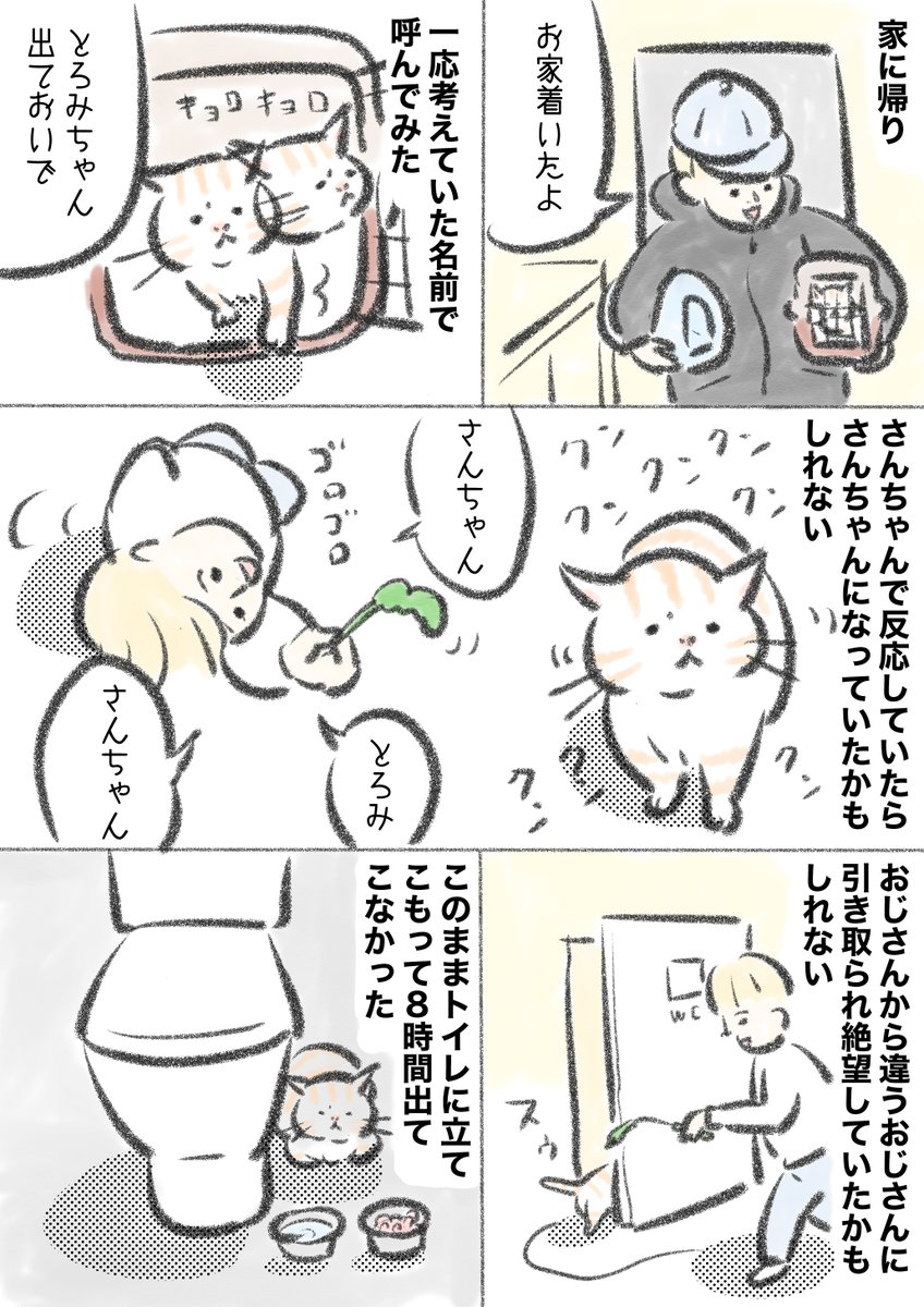 昨日はとろみの誕生日でした🎉記憶が曖昧になってきましたが思い出せる限りとろみとの出会いを振り返ってみました。ハピバとろみ🎂これからもよろしく 