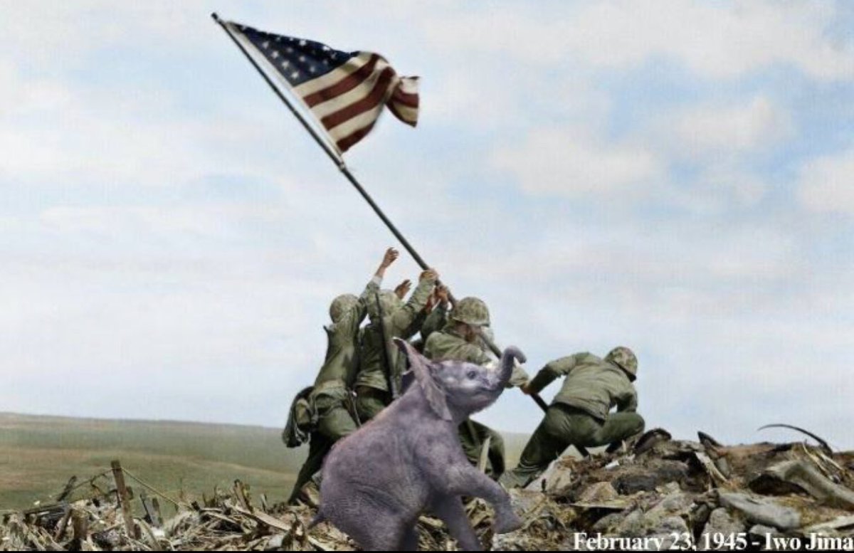 Corra_Cto's tweet photo. Chad Darth just burnt 1.6% of the supply for our coin! Our commitment to this project is unwavering. Come join us as America’s favorite zoo animal as continue our journey! $CORRA https://t.co/8LKWZITxQD