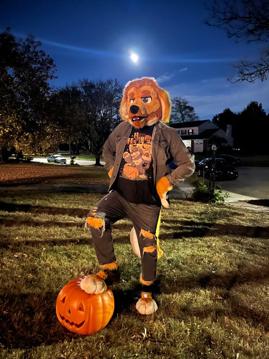 Kon Shearo tweet media