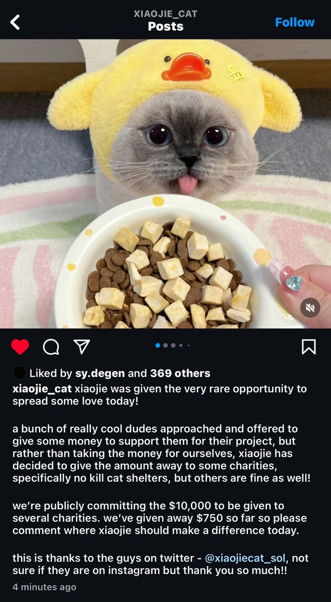 TD100x's tweet photo. looks like $XIAO just donated $750 out of the $10,000 they received 

send this cat higher https://t.co/uz8Acn062a
