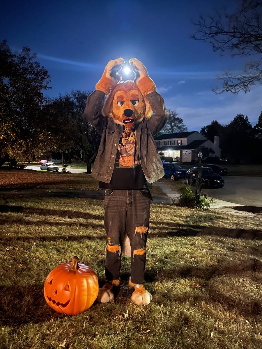 Kon Shearo tweet media