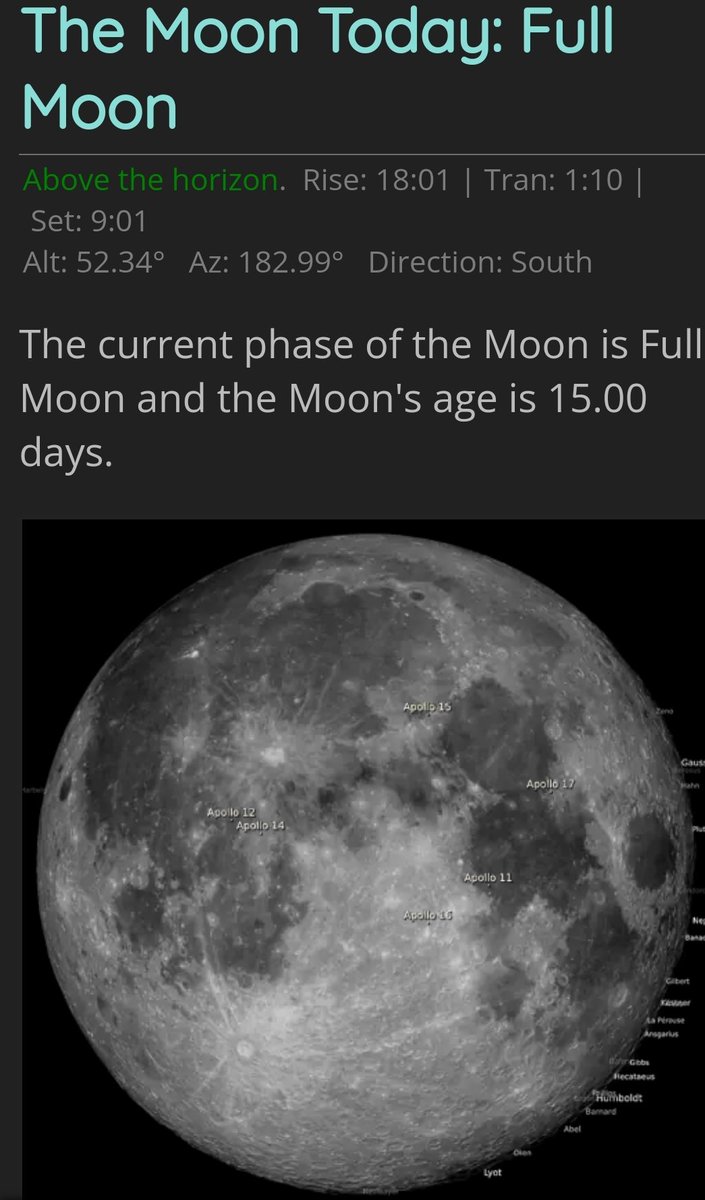 Female Empowerment tweet media