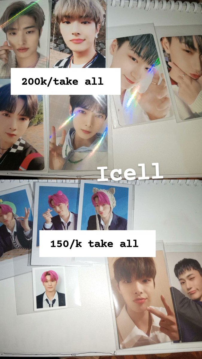 (⁠=⁠｀⁠ェ⁠´⁠=⁠) tweet media