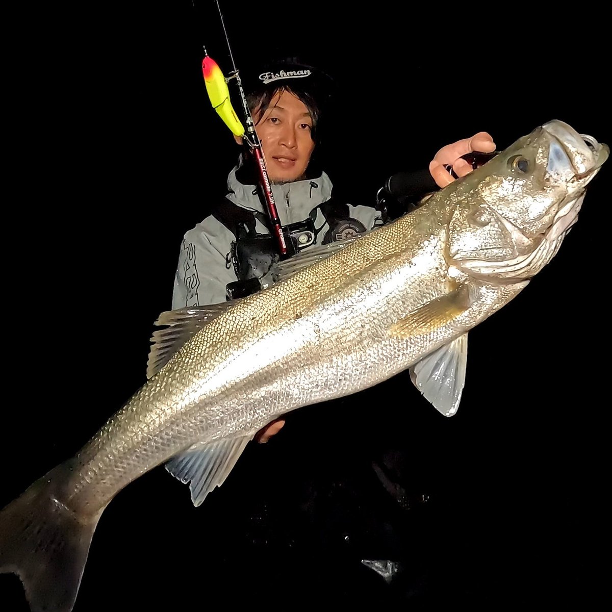 Yoshikuni_fish's tweet photo. WCORK130でランカーサイズ連発💥
ロッドを立てて水面ちょい下のレンジをヌメヌメアクションでゆっくり流す釣りがハマりました👍️
そして、ランカーサイズでもBRISTcomodo7.5Hなら安心のやり取り😁
#フィッシュマン #WCORK130 #Wコーク130 #ブリストコモド75H #落ち鮎パターン #秋田 https://t.co/QDjddhdw0x