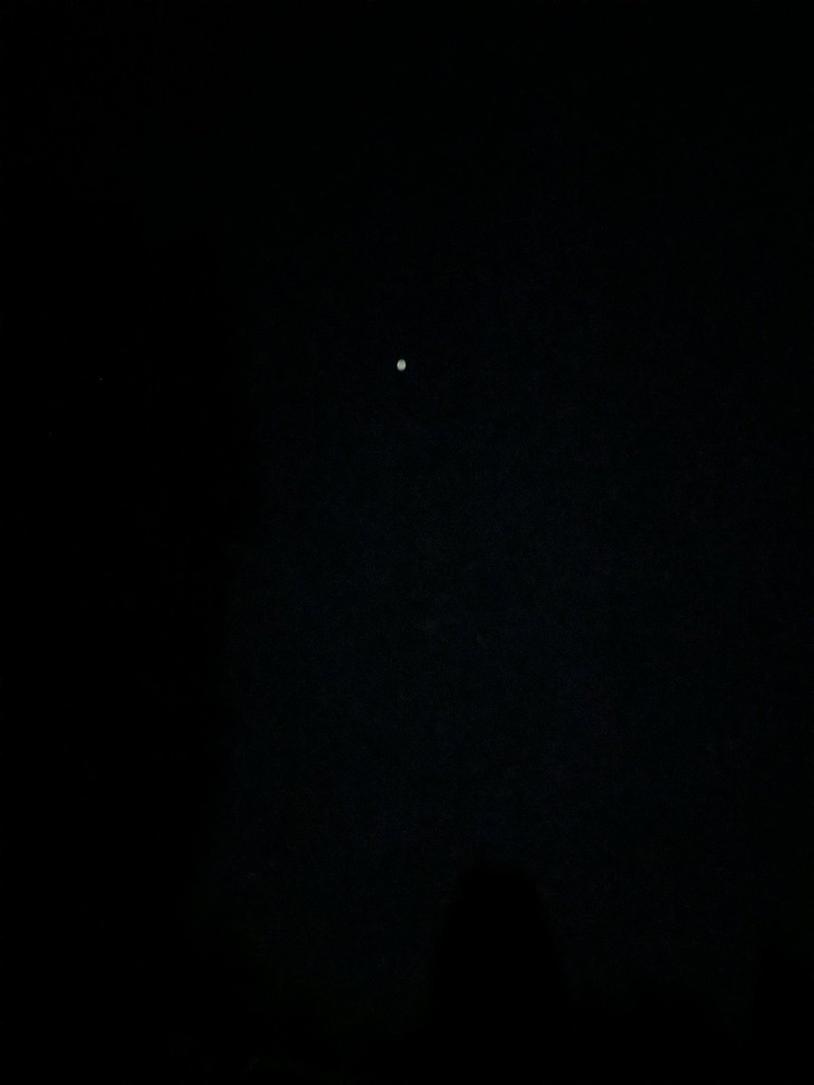 гипербоярышник 🐏🤏 tweet media