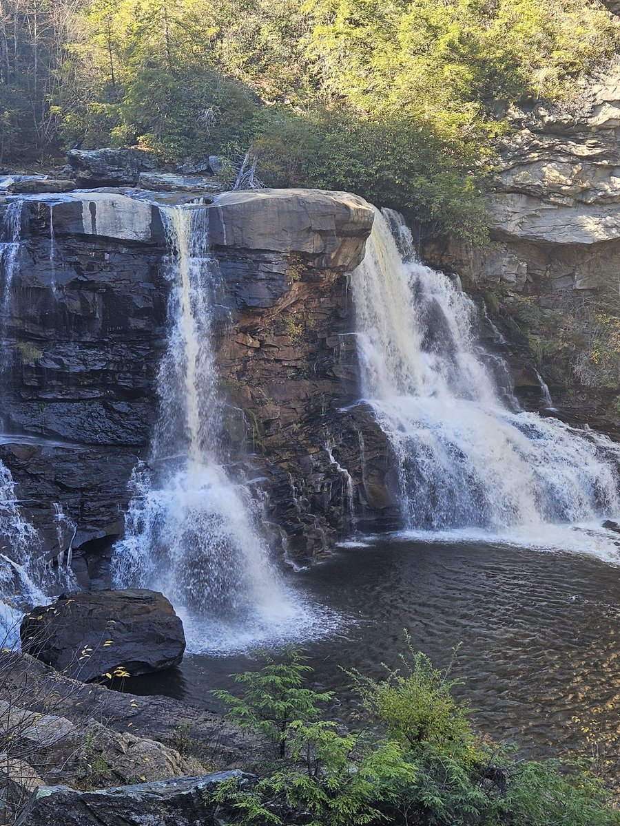 Dixie Dynamite tweet media