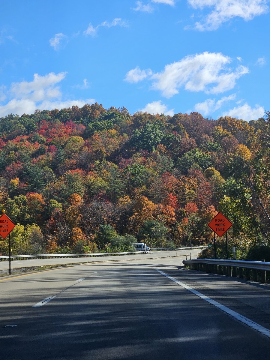 Dixie Dynamite tweet media