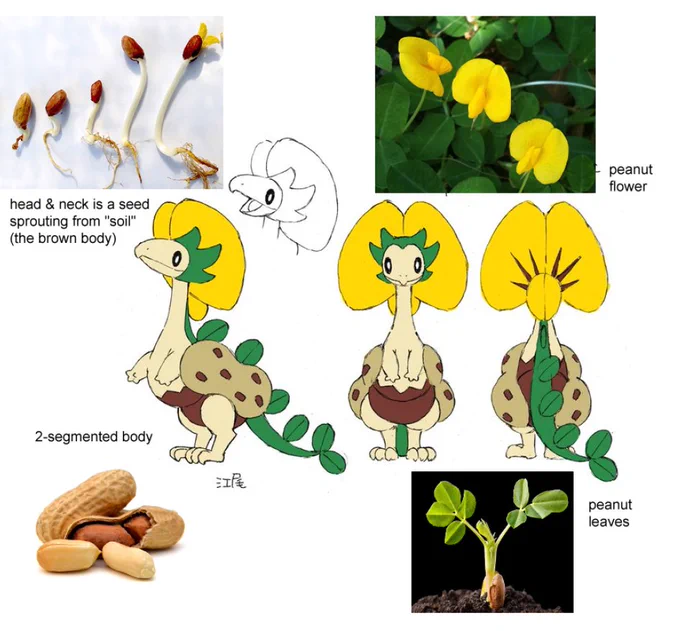 GOD the peanut pokemon is such a simple yet smart design, every element of it has a clear purpose and flows together perfectly. i need to absorb the designer's powers 