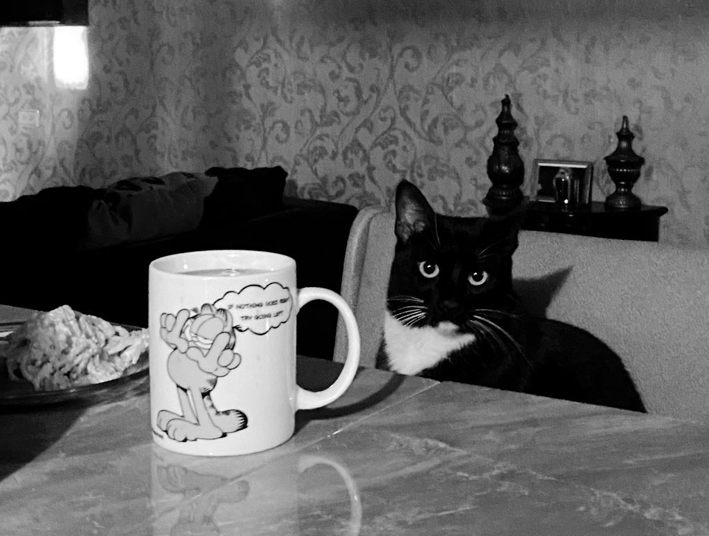 aanottavailable's tweet photo. Mich es feliz con su taza de Garfield! https://t.co/uS2wPYuuCf