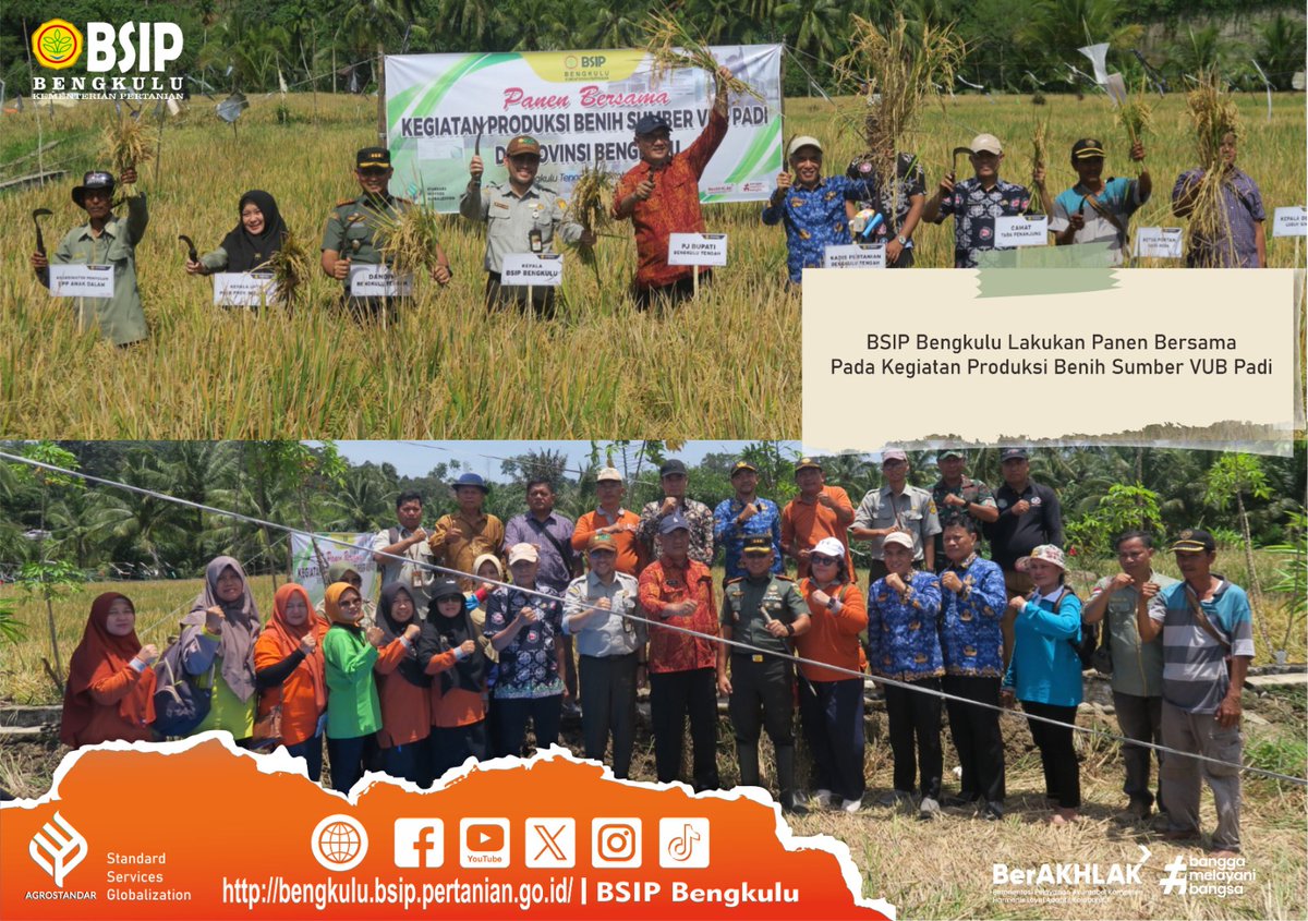 Brmp_Bengkulu's tweet photo. #SapaMalam #FrenSIP

BSIP Bengkulu Lakukan Panen Bersama Pada Kegiatan Produksi Benih Sumber VUB Padi

https://t.co/OpZGAVNZpE

#bsipuntukindonesia
#agrostandar 
#bsipkementan
#kitapastilebihbaik
#pertanianmajumandirimodern
#pompanisasijadisolusi
#jagapanganbiaraman https://t.co/OswZC83hmE