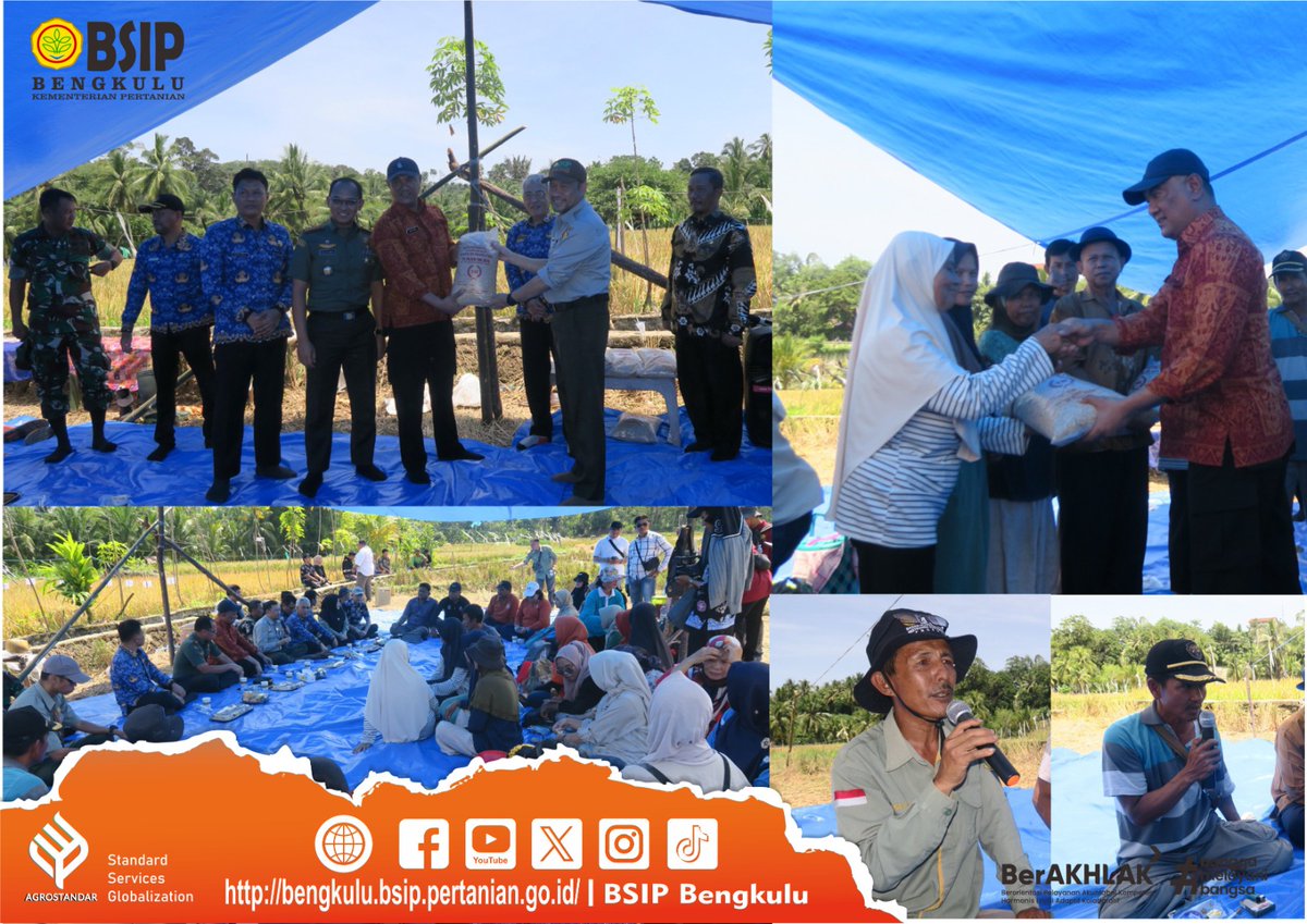 Brmp_Bengkulu's tweet photo. #SapaMalam #FrenSIP

BSIP Bengkulu Lakukan Panen Bersama Pada Kegiatan Produksi Benih Sumber VUB Padi

https://t.co/OpZGAVNZpE

#bsipuntukindonesia
#agrostandar 
#bsipkementan
#kitapastilebihbaik
#pertanianmajumandirimodern
#pompanisasijadisolusi
#jagapanganbiaraman https://t.co/OswZC83hmE