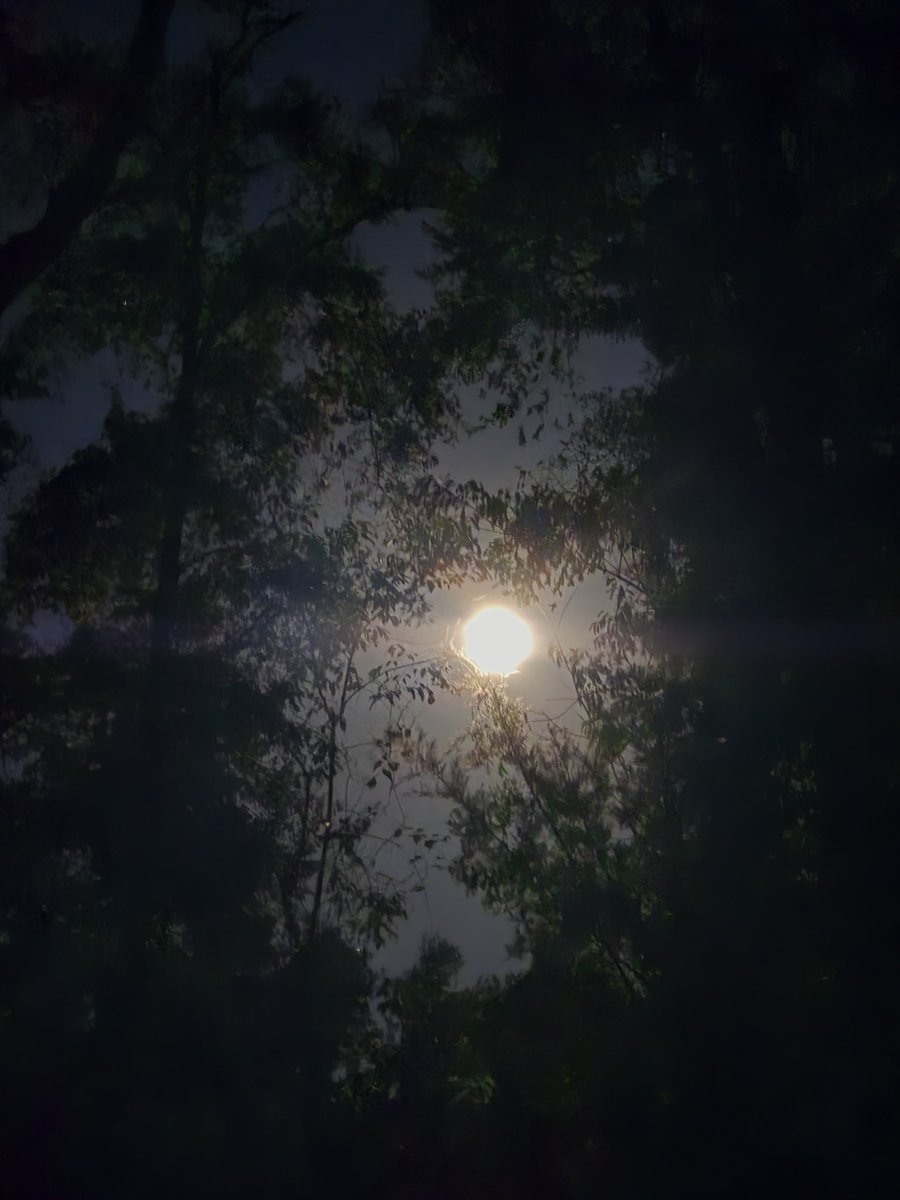 Full moon pic. It looks like it's on fire 🔥